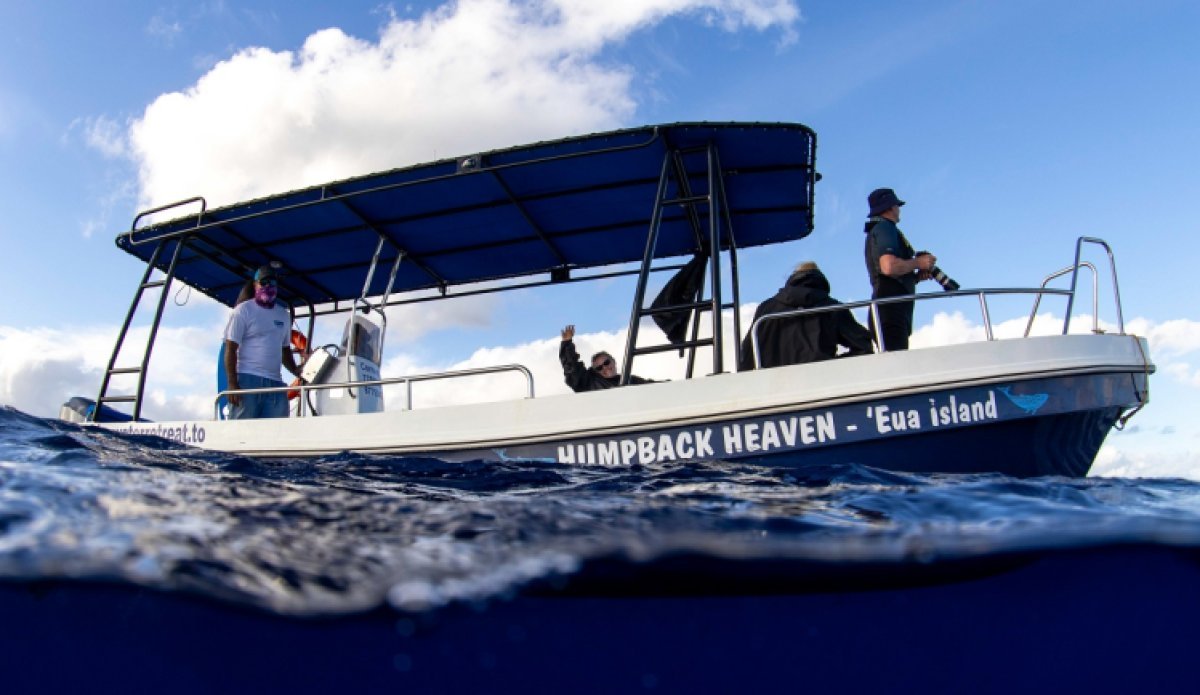 Charterboot Wal Expedition