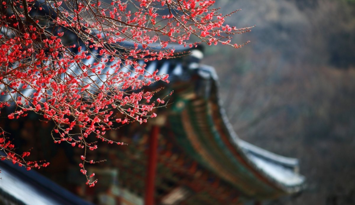 Korea Reise