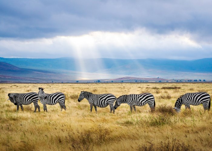 Afrika
